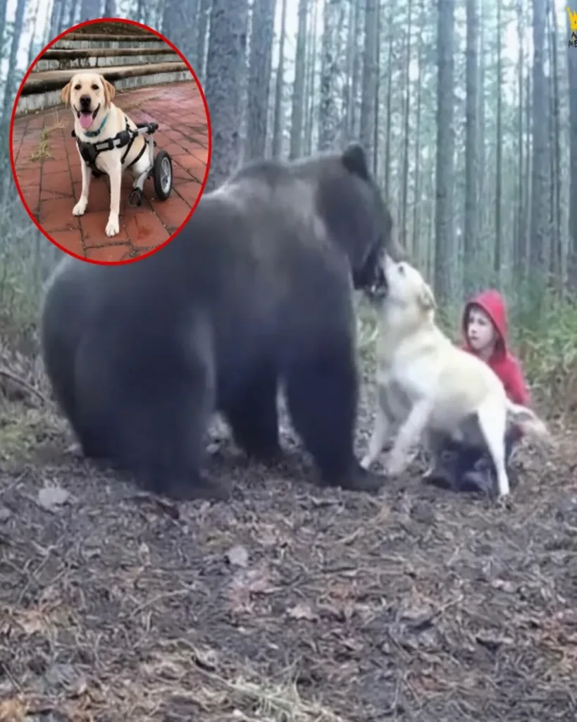 The Unbreakable Bond: A Tale of Loyalty and Love The Unbreakable Bond: A Tale of Loyalty and Love