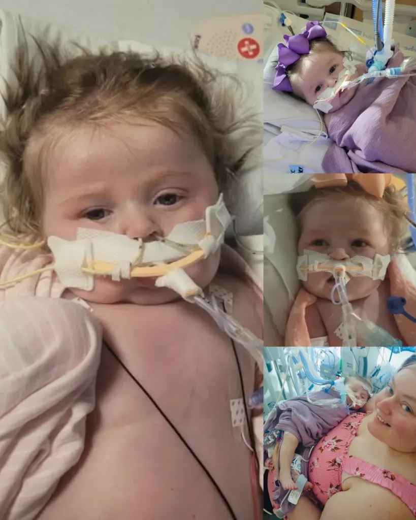 Eden Grace Riddle: A Little Fighter's Journey Toward Hope and Healing Eden Grace Riddle: A Little Fighter's Journey Toward Hope and Healing