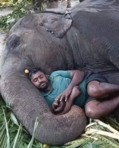 The Silent Bond: When Love Doesn’t Need Words