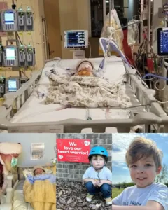 Max: A Brave Heart Warrior Ready for His Next Battle