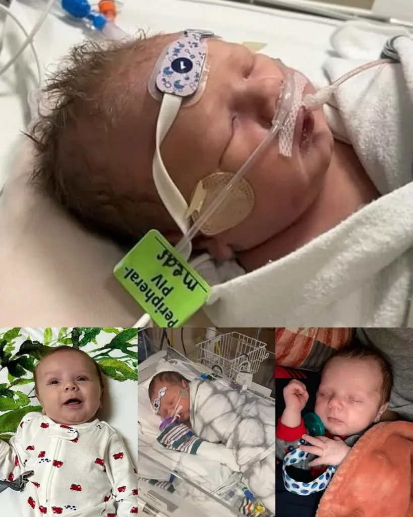 Wesley: A Brave Heart Warrior at Just 3 Months Old Wesley: A Brave Heart Warrior at Just 3 Months Old