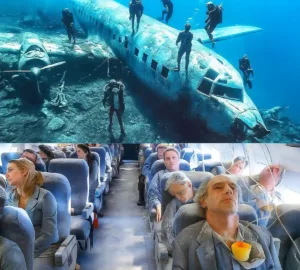 bản sao của bản sao của bản sao của +69