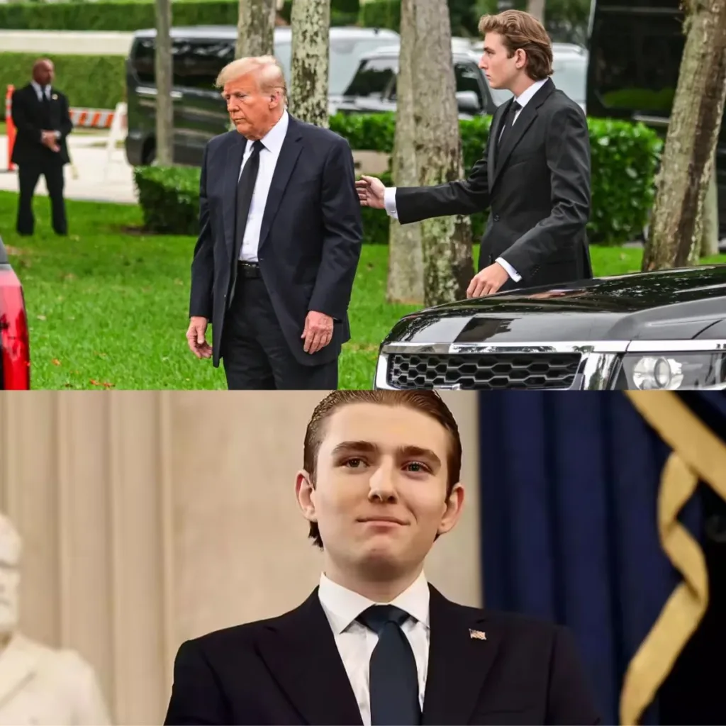 he could kill — but he chose to care the lion who redefined power (4)