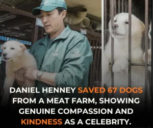 Daniel Henney Helps Rescue 67 Neglected Dogs from Long-Running Korean Farm white job post vacancy facebook post (3)