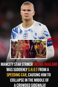 e5888641 ff68 4047 bd98 f696a9503ac4