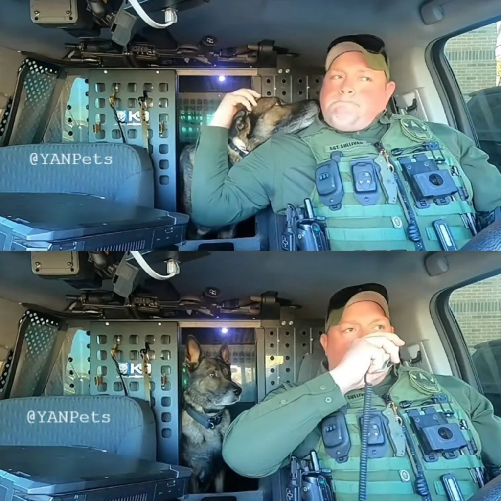 The Final Salute: K9’s Last Name Call Breaks Every Heart in the Room f (7)