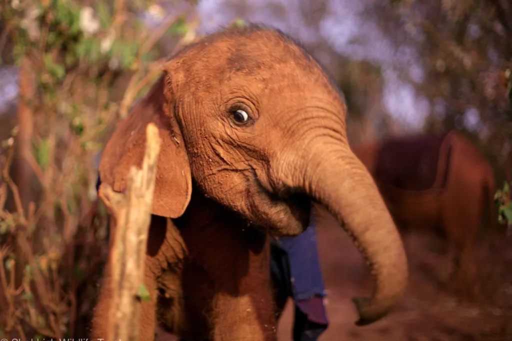 587755246 18543540334010080 3494101929535696604 n