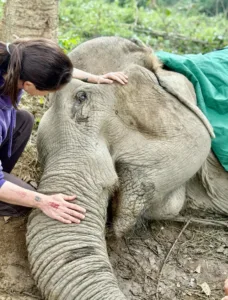 Our Hearts Are Heavy Today as We Share an Important Health Update on Boon Ma 588215675 18541005130054004 596911092934459583 n