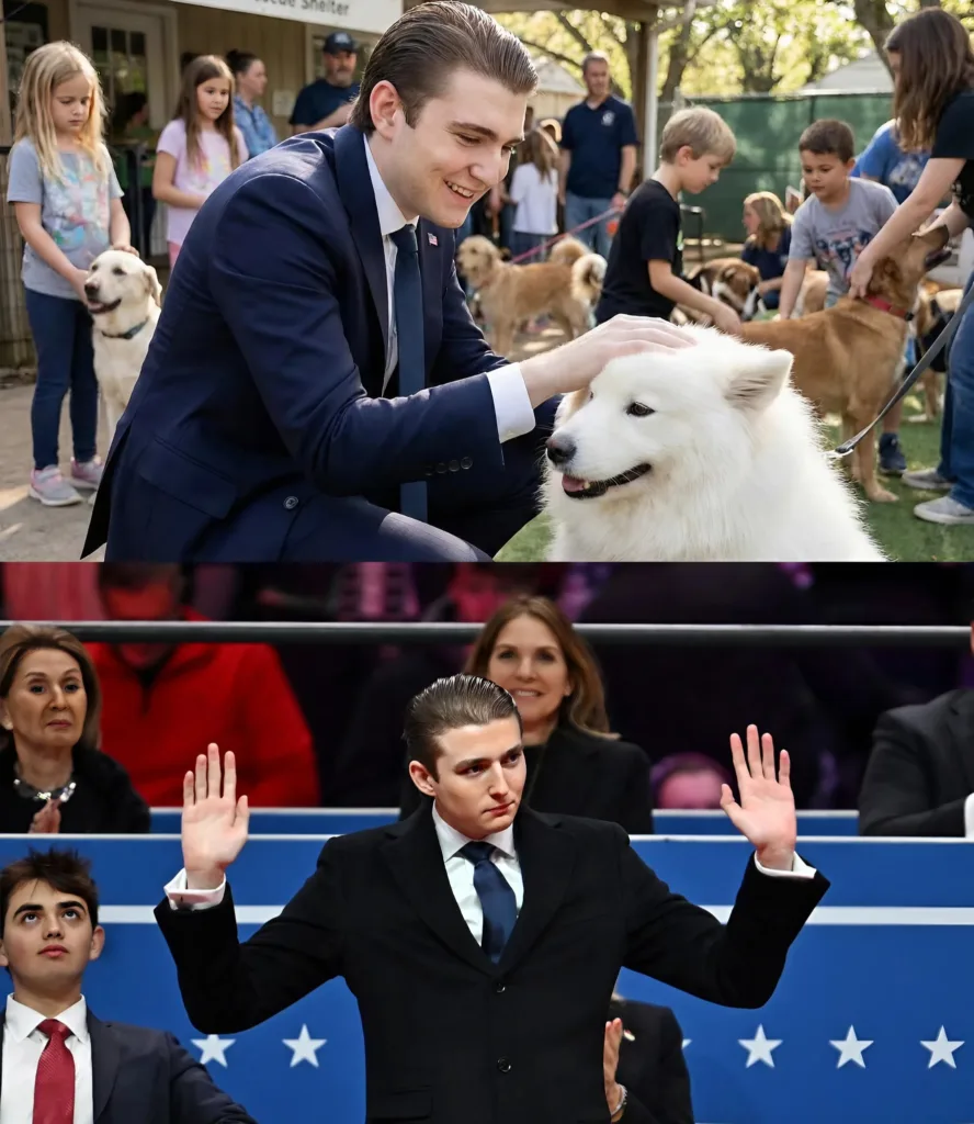 591745848 825622193785790 3622039940997714158 n