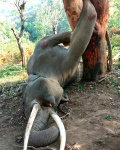 591968110 122205862730339274 5246982091138659805 n