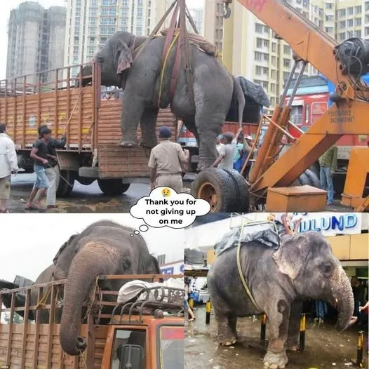 593235403 792361483839058 545834822651474848 n