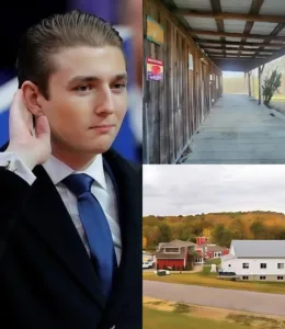 594068430 825215557159787 3918601077038624017 n