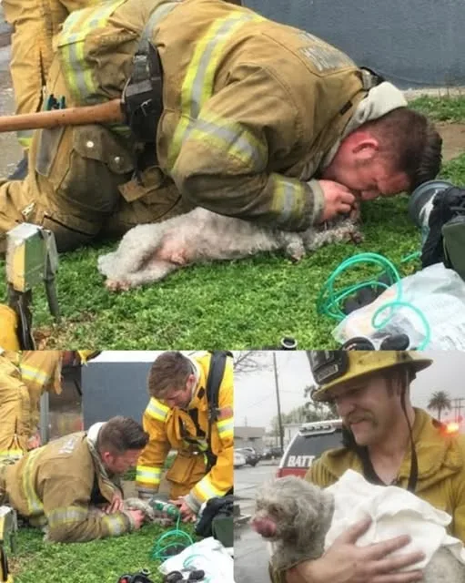 594183260 1280034717498292 5053097228965808499 n