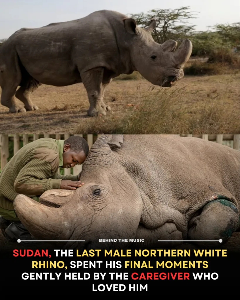 594579312 1185309897034943 5706655978549351516 n