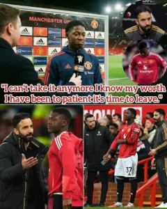 596105927 698905846617457 3856902048953212855 n