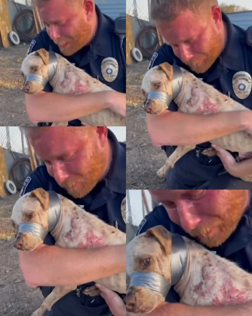 596775013 122258948762244964 5615895535307617076 n