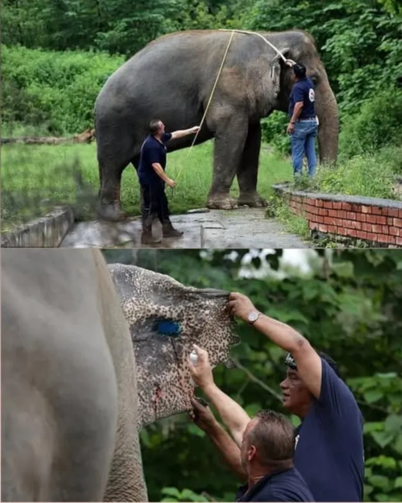 598438346 802626812812525 4507425189552558887 n