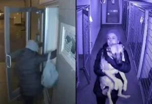 600303082 1291291256372638 5024705078323705628 n