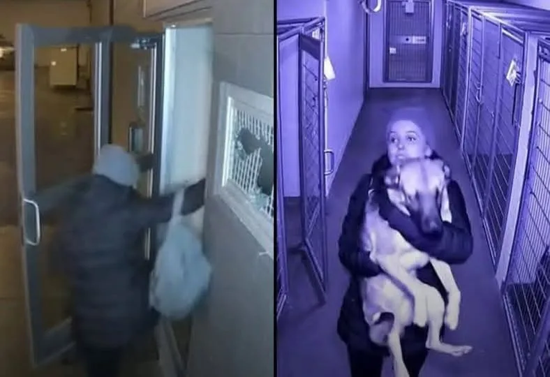 600303082 1291291256372638 5024705078323705628 n