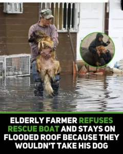 602461236 1155311713421849 4297843614318382257 n (1)