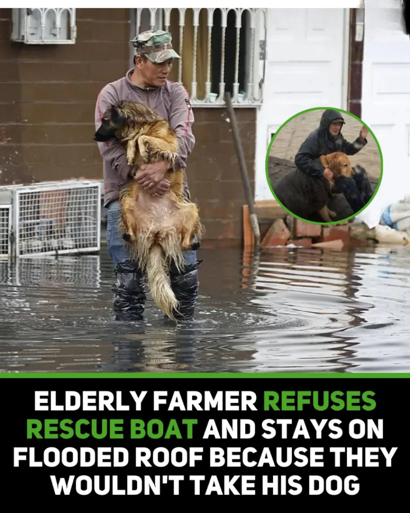 602461236 1155311713421849 4297843614318382257 n (1)