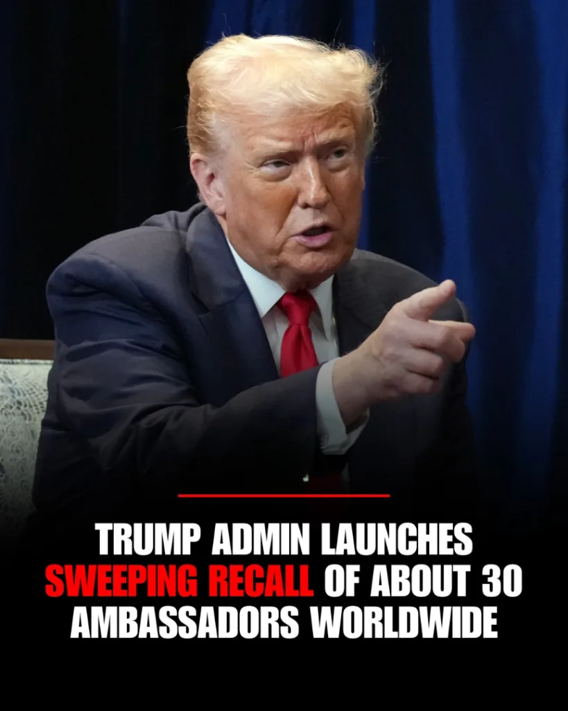 602960496 1272570168066176 607983758073806773 n (1)