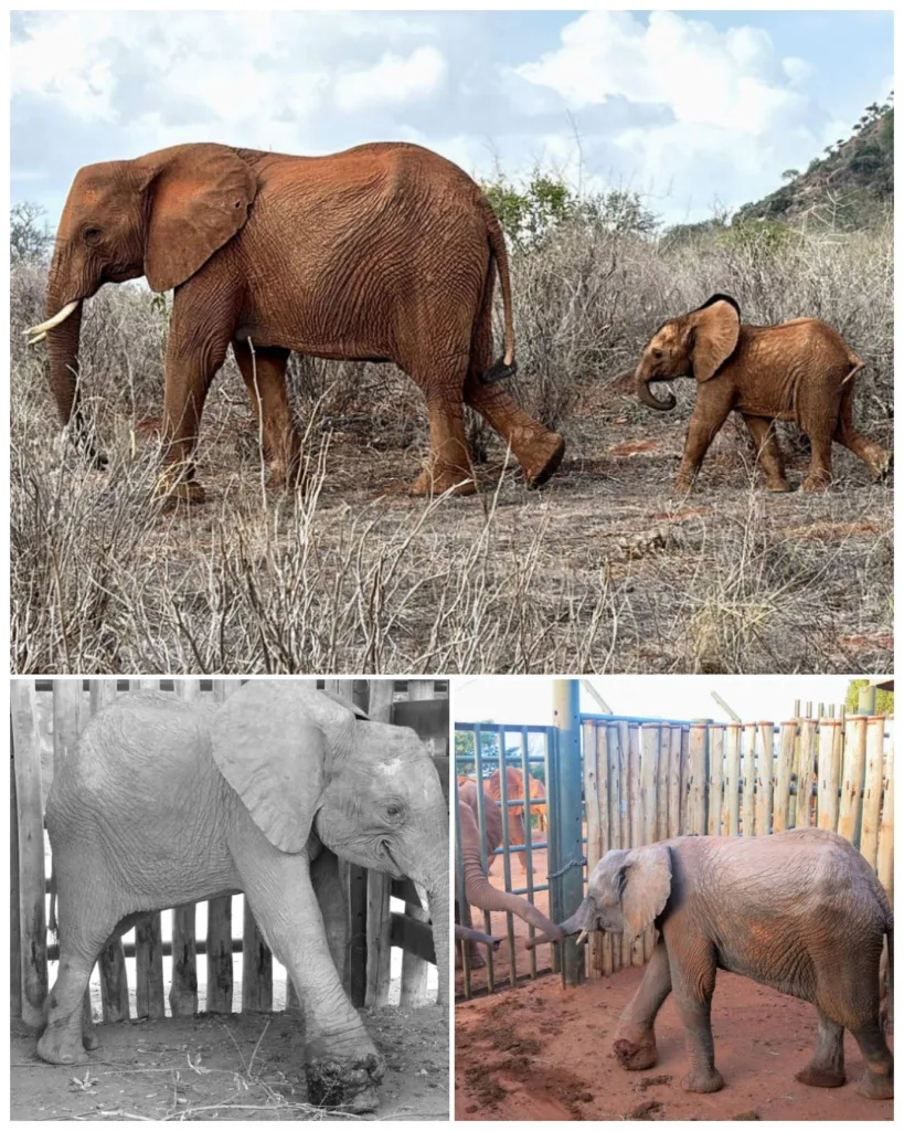 606271816 122236873574125713 5683910828750864607 n