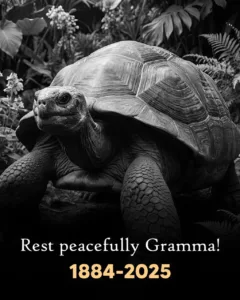 betterimage 1765766972214