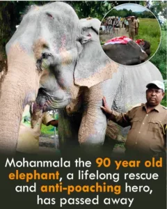 screenshot 2025 12 14 180255