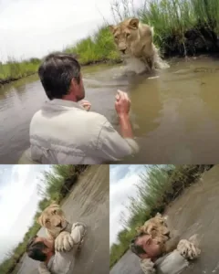 Zara’s Redemption: How Trust and Patience Restored a Lioness Featured image