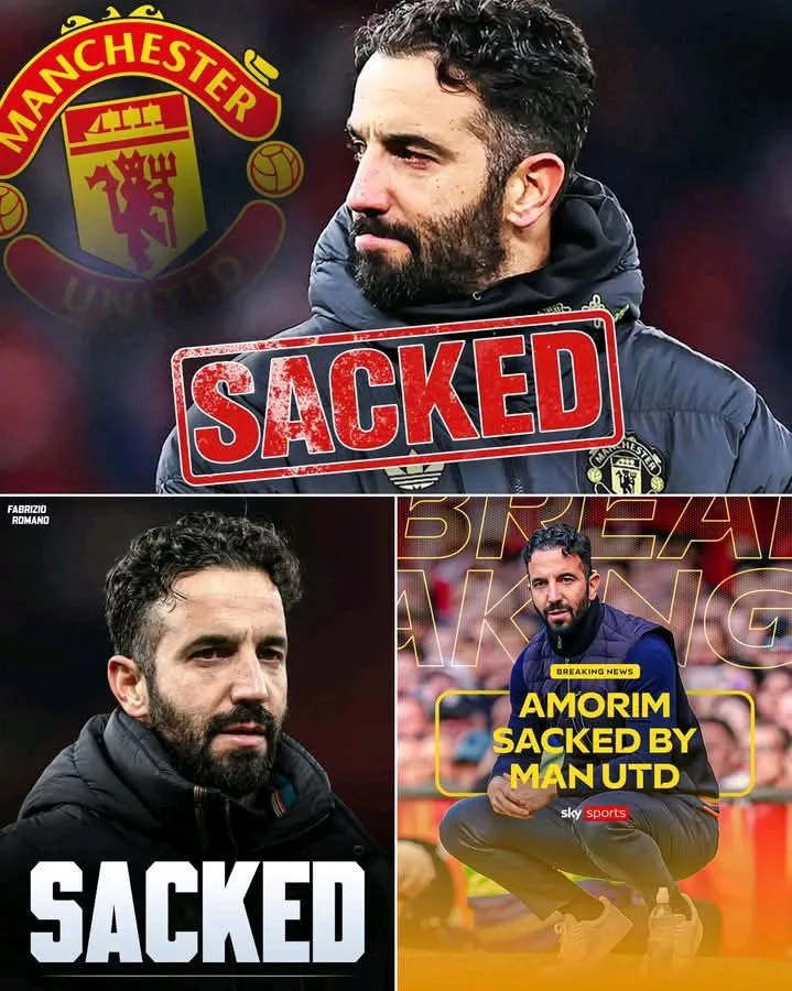 611972334 1199044552359302 6037276613727832 n