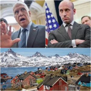 ‘I’m Sick of Stupid’: Tillis Blasts White House Chaos Over Greenland Talk Featured image